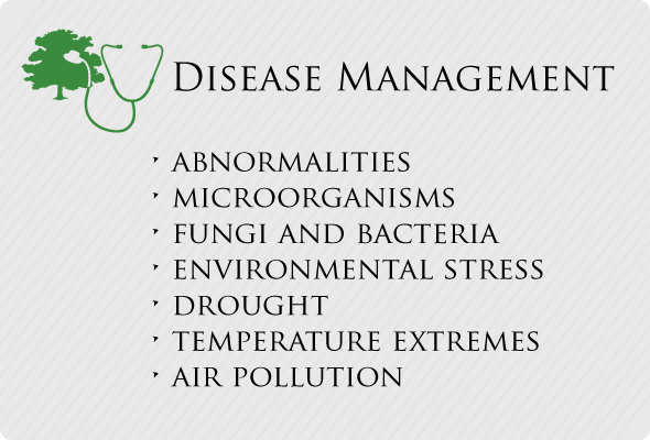 Disease Management